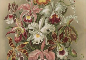 Fotótapéta Flizelin Design Divatos Virágos elegancia 208x146 Ragasztó