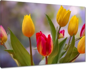 Vászonkép 100x70 Tulipánok Virágok