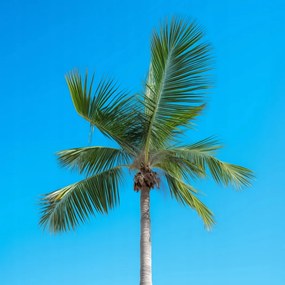 Poszter 20x20cm Égi magaslatok