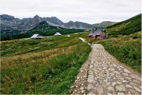 Kép - Hegyi táj házakkal (90x60 cm)
