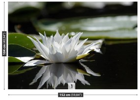 Fotótapéta white Lotus 104x70 cm