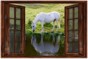 Poszterek 90x60 Fehér ló