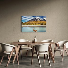 Kép - Torres del Paine Nemzeti Park (90x60 cm)