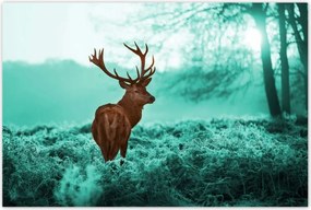 Poszterek 120x80 Szarvas a türkiz erdőben