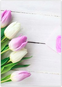 Poszterek 70x100 Finom tulipánok