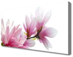 Vászonkép Magnolia Flower 100x50 cm