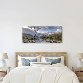 Folyó a fa mögött képe (120x50 cm)