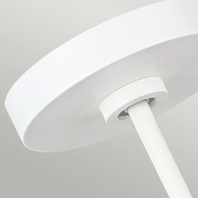 Feiss BRISBIN FE-BRISBIN-MW Függőlámpa 1x60W/E27