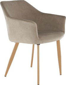Szék, szövet Taupe szürke-barna/bükk, ODOVEL