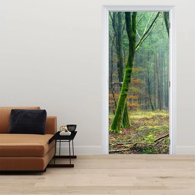Fotótapéta ajtóra - Erdő (95x205cm)