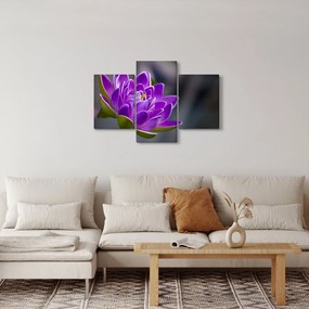 A virág képe (90x60 cm)