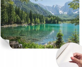 Modern öntapadós fali fotótapéta Zöld tó 416x254 cm