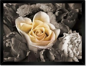 Poszterek keretben 40x30 Tearózsa