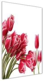 Egyedi üvegkép Piros tulipánok osv-109710799
