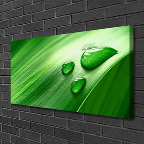 Vászonfotó Leaf Water Drops 125x50 cm