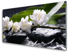 Üvegkép virág Stones 100x50 cm