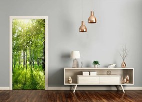 Poszter tapéta ajtóra nyírfa erdő 95x205 cm