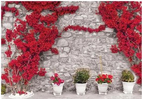 Fotótapéta virág fal fotótapéta 208 x 146