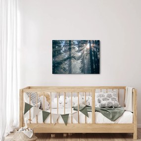 Fák képe a ragyogó nappal (70x50 cm)