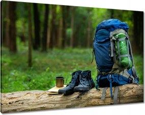 Képek 100x70 Hátizsák cipő a fán