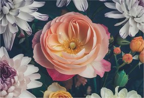 Fotótapéta Flizelin Fali Ragasztó Szett Virágos harmónia 152x104 Ragasztó