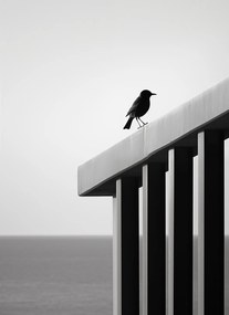 Poszter 40x55cm Magányos elmúlás