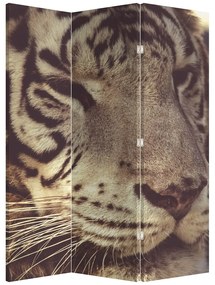 Paraván - Tigris (126x170 cm)