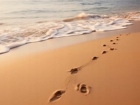 Poszter 80x60cm HullĂĄmok suttogĂĄsa