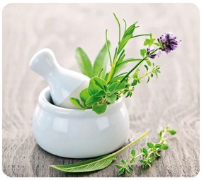 Edzett üveg falvédő tűzhelyhez 50x56 cm Herb Garden – Wenko