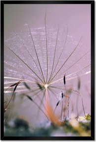 Poszterek keretben 40x60 Pitypang pitypang