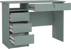 Íróasztal 48,5x109 cm Function – Tvilum