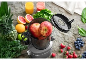 Concept LO7120 - Lassú facsaró JUICY 250W/230V szürke