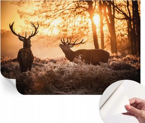Modern öntapadós fali fotótapéta Szarvasok a reggelben 104x70 cm