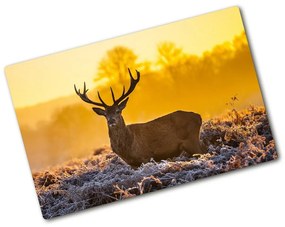 Üveg vágódeszka Deer napkelte pl-ko-80x52-f-48250553