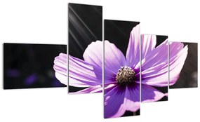 Modern kép - virágok  (150x85cm)