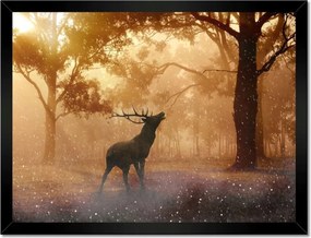 Poszterek keretben 40x30 Szarvas az erdőben