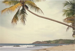 Divatos 3D Fali Tapéta Trópusi tájkép 104x70 Ragasztóval