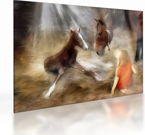 Kép - Üdvözöljük a világban, csikó (üvegen) (70x50 cm)