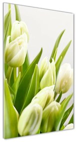 Akrilkép Fehér tulipán oav-48191283