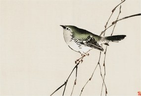 Dekoratív fotótapéta az irodába Harmonikus madár 152x104 Ragasztó