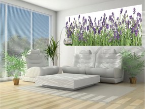 Flizelin fotótapéta Levendula Provence hálószoba relax 250x104 +ragasztó