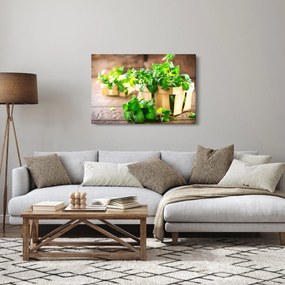 Friss menta képe (90x60 cm)
