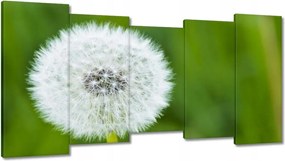 Vászonkép 150x80 Pitypang Virág Virágok