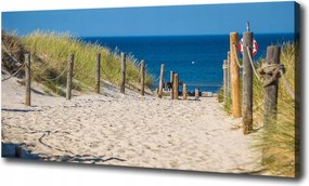 Vászonkép Tengerparti dűnék 100x70 cm