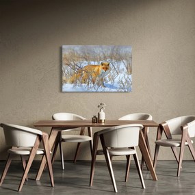 Kép - Róka (90x60 cm)