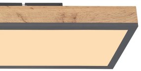 Globo 416080WD4 - LED Mennyezeti lámpa DORO LED/24W/230V