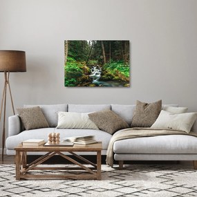 Patak képe az erdőben (üvegen) (70x50 cm)