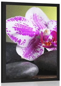Poszter orchidea és fekete kövek