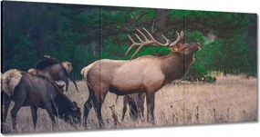 Vászonkép 180x90 Szarvas Erdő Tájkép