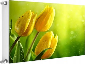 Radiátormágnes Radiátor 80x60 Tulipán Fotótapéta